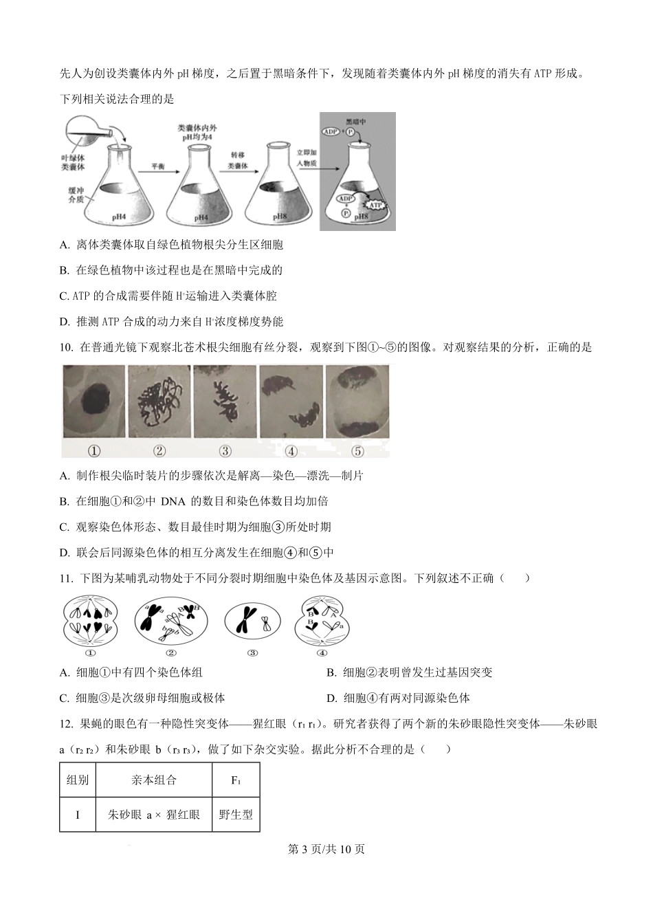 精品解析:生物试卷(原卷版)【北京卷】北京市西城区育才学校2025-2026学年高三上学期9月月考(9.26-9.27).pdf_第3页