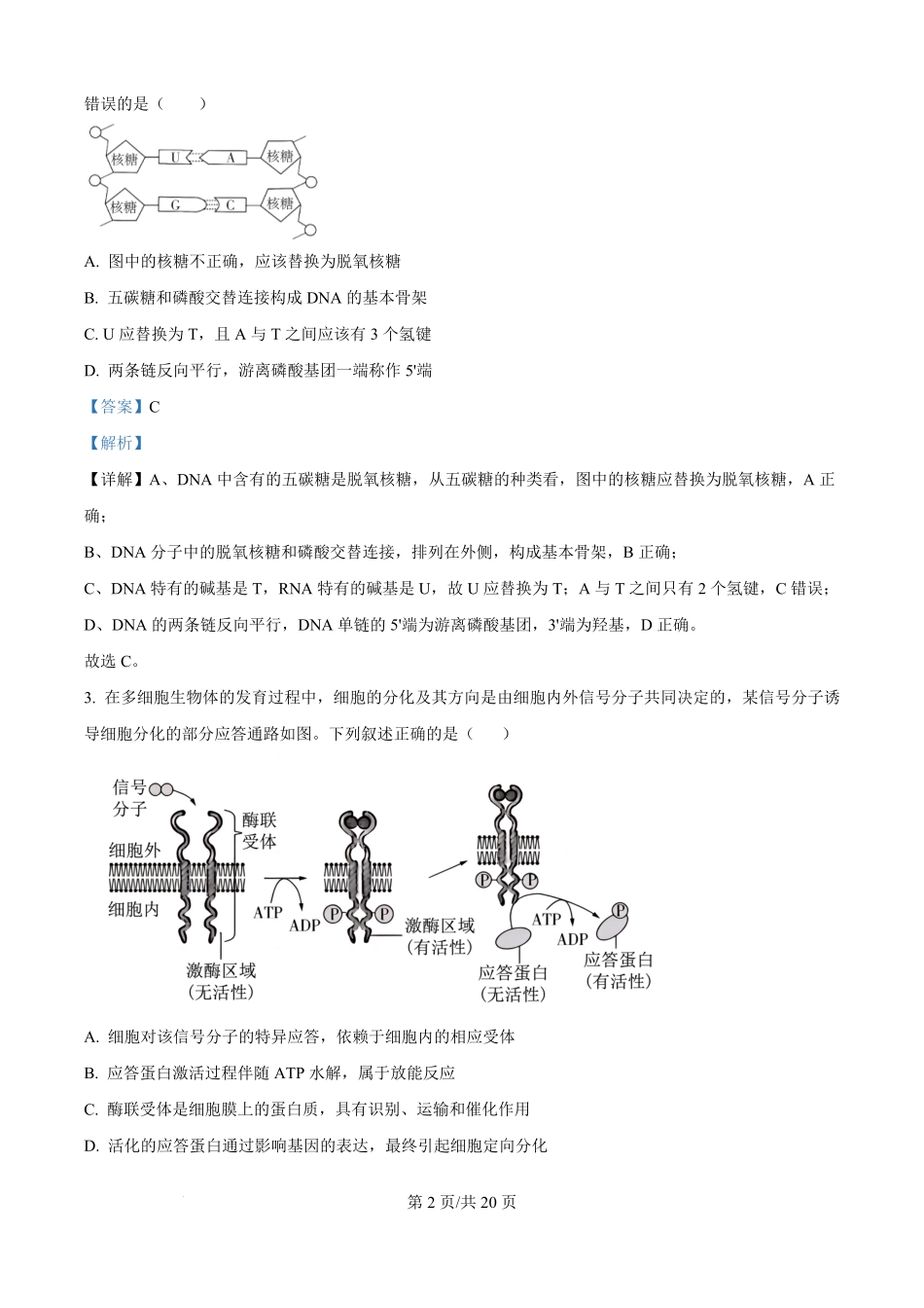 精品解析:云南省玉溪市红塔区云南省玉溪第一中学2025-2026学年高二上学期开学生物试题(解析版).pdf_第2页