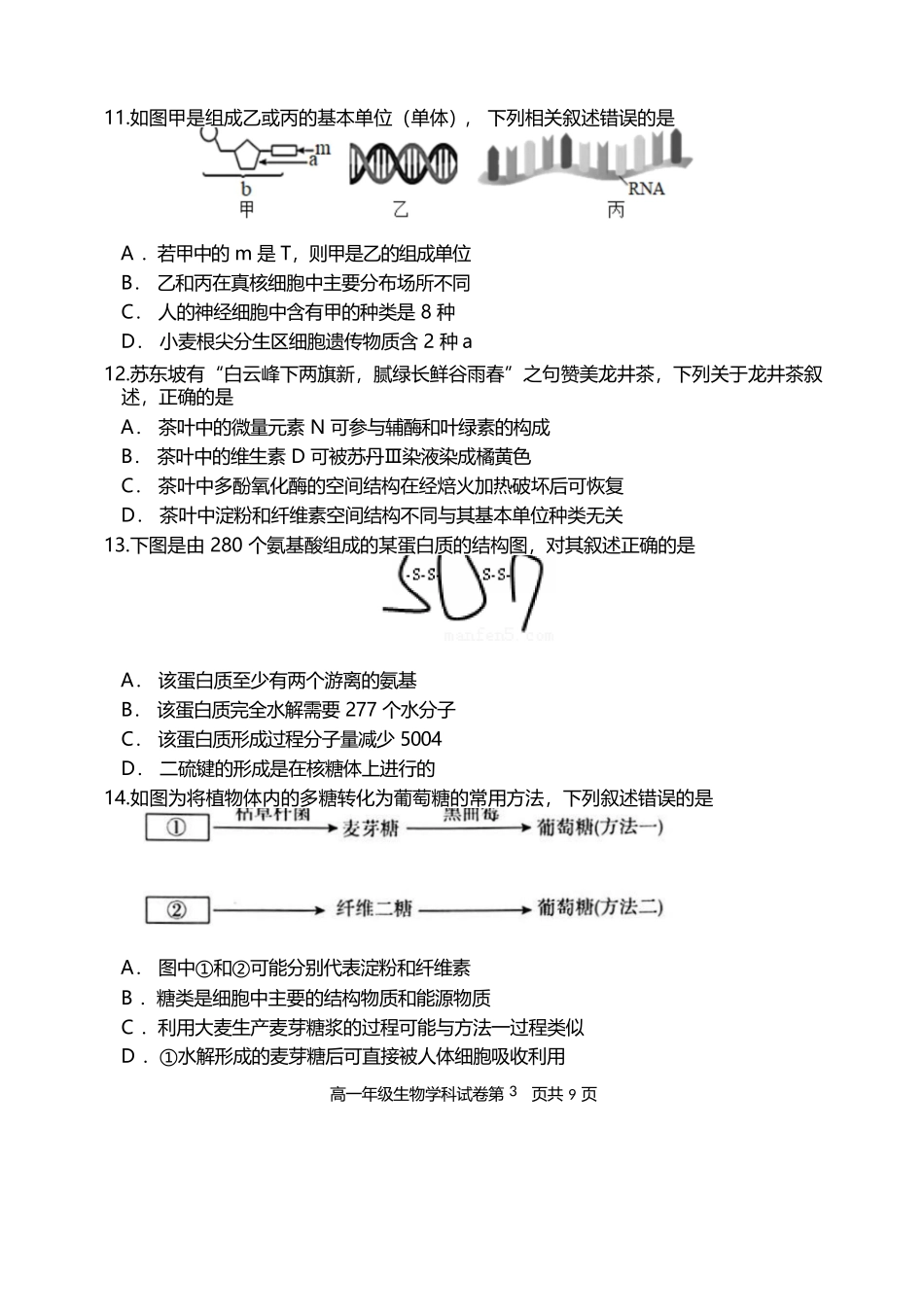 生物试卷【黑吉辽蒙卷】【高一】辽宁省沈阳市东北育才高中2025-2026学年高一上学期第一次(10月)月考(10.13-10.14).docx_第3页