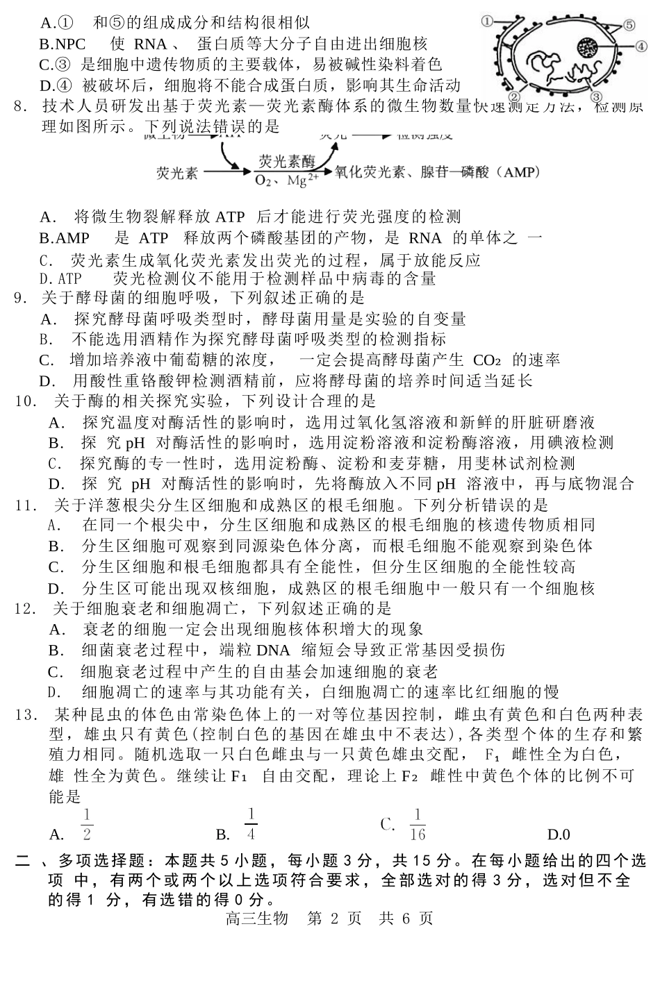 生物试卷河北省NT20联盟第一学期2026届高三年级10月联考（10.14-10.15）.docx_第2页