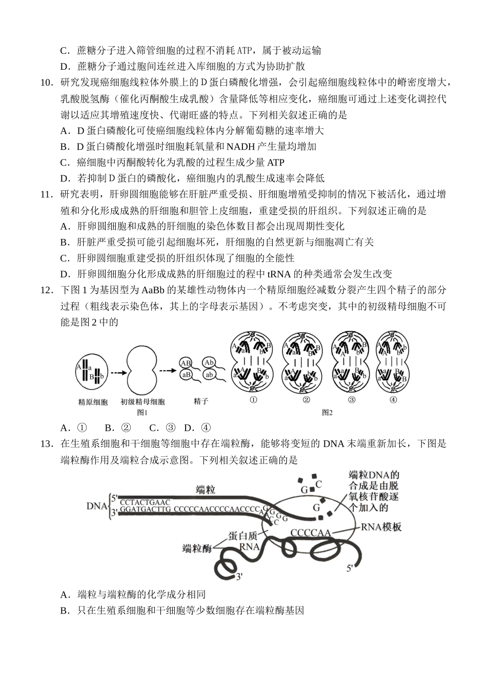 生物学试卷【黑吉辽蒙卷】辽宁省沈阳市东北育才学校等校2026届高三上学期10月联合考试（10.15-10.16）.docx_第3页