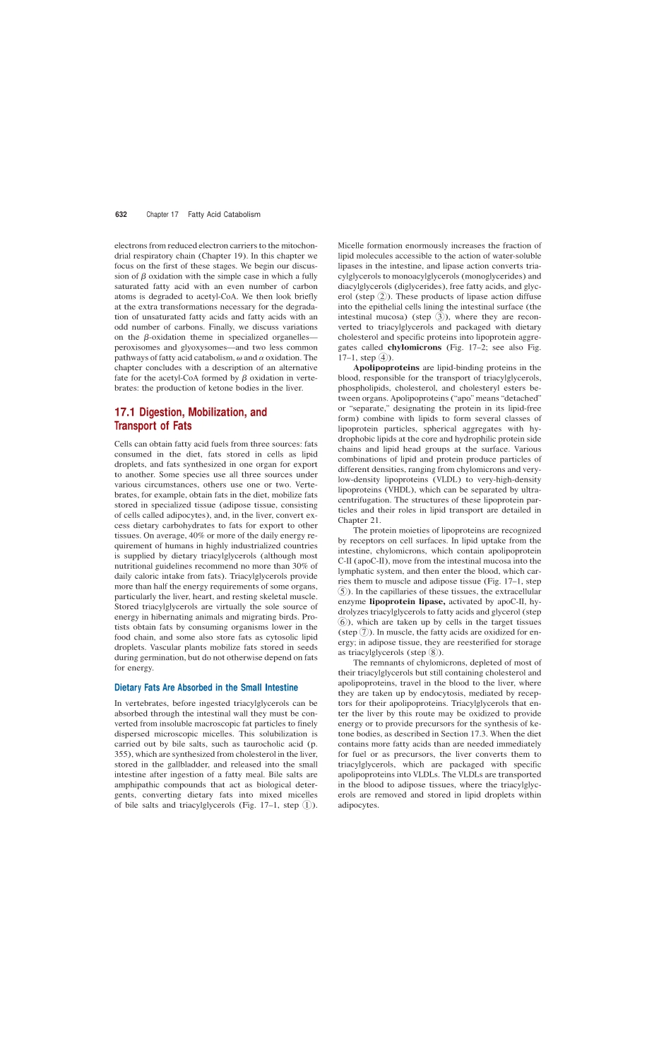 chap17+++++FATTY+ACID+CATABOLISM.pdf_第2页