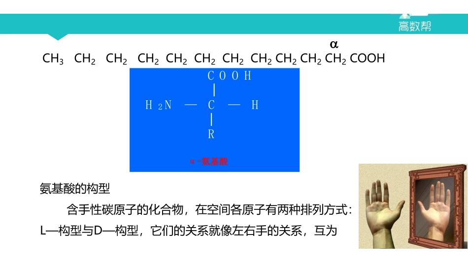 课时1 氨基酸的结构与性质.pdf_第3页