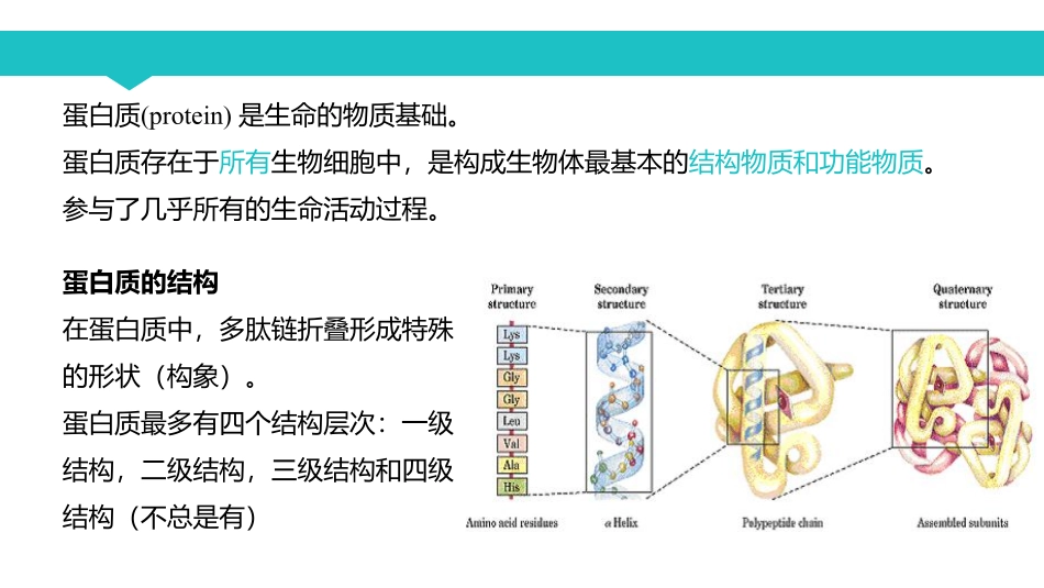 课时2 蛋白质的共价结构.pdf_第1页
