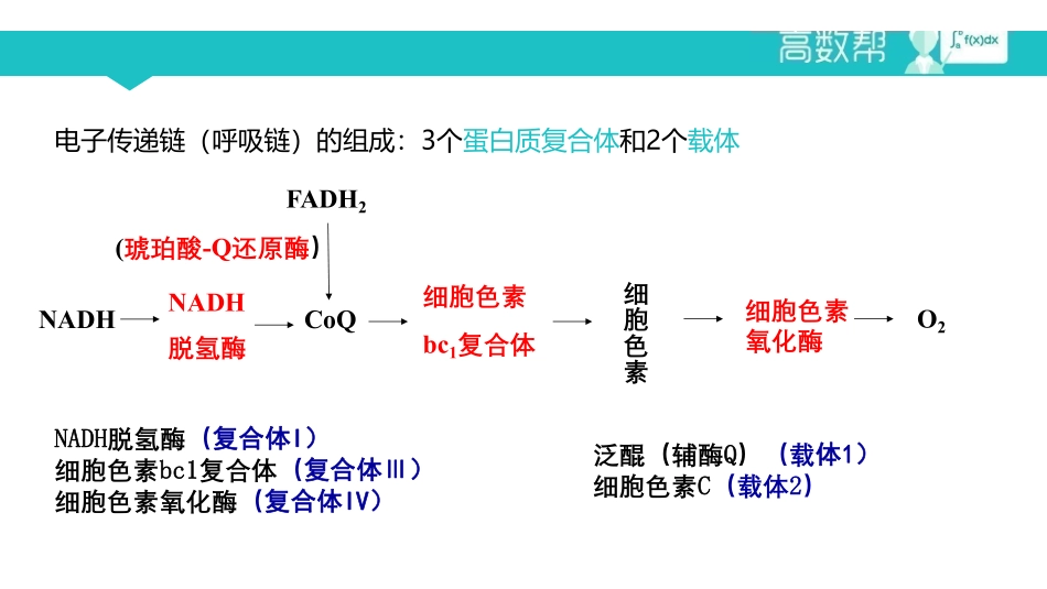 课时9 生物氧化.pdf_第3页