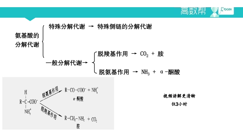 课时11氨基酸代谢.pdf_第1页