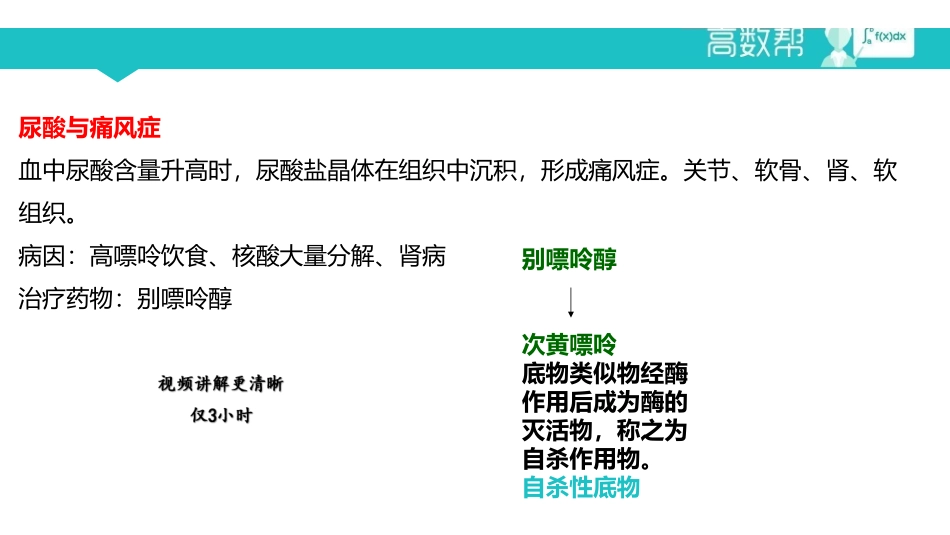 课时12核酸代谢.pdf_第3页