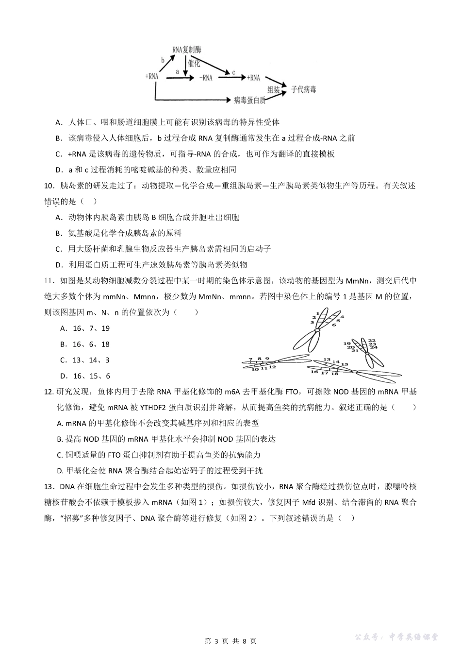 绵阳南山中学实验学校2025-2026学年高三上学期10月月考生物.pdf_第3页
