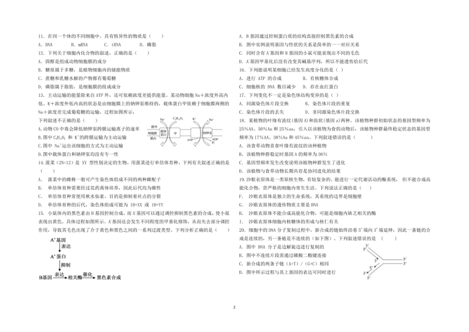 宁夏青铜峡市宁朔中学2025-2026学年高二上学期开学考试生物试题.pdf_第2页