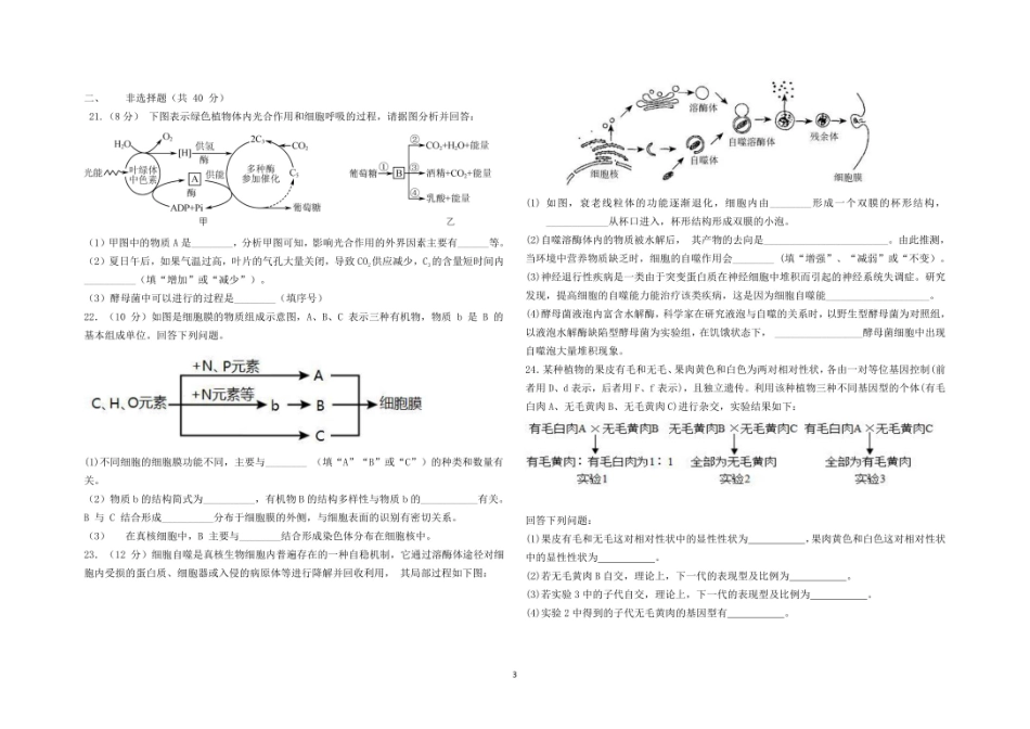 宁夏青铜峡市宁朔中学2025-2026学年高二上学期开学考试生物试题.pdf_第3页