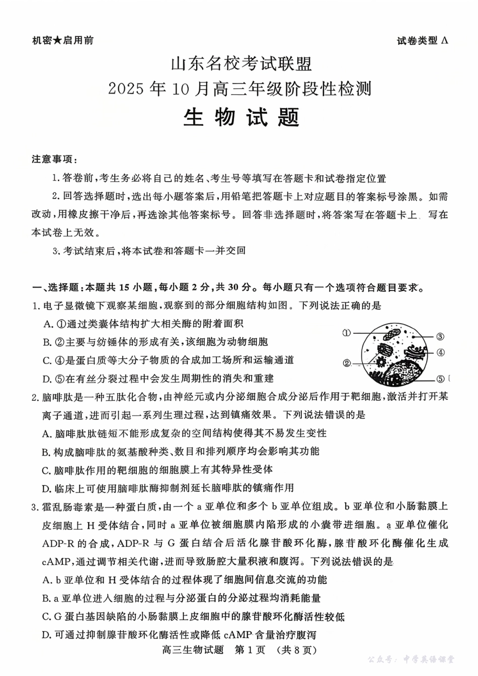 山东名校考试联盟2025年10月高三年级阶段性检测生物.pdf_第1页