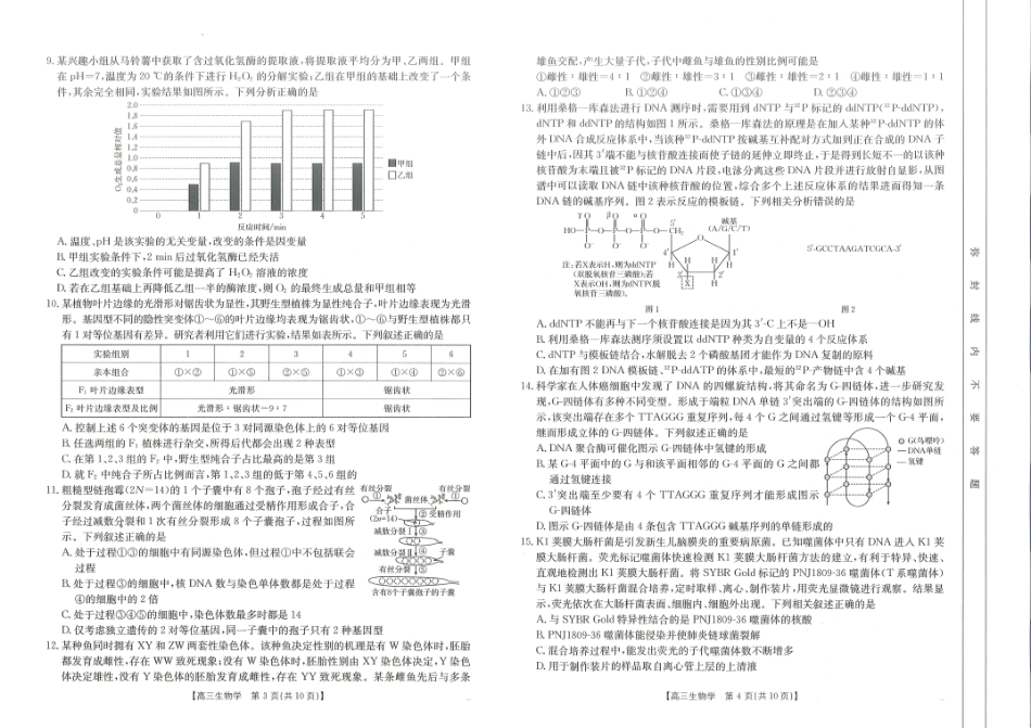 山东省金太阳2025届高三第一次备考监测联考(10.8-10.9)生物试卷+答案.pdf_第2页