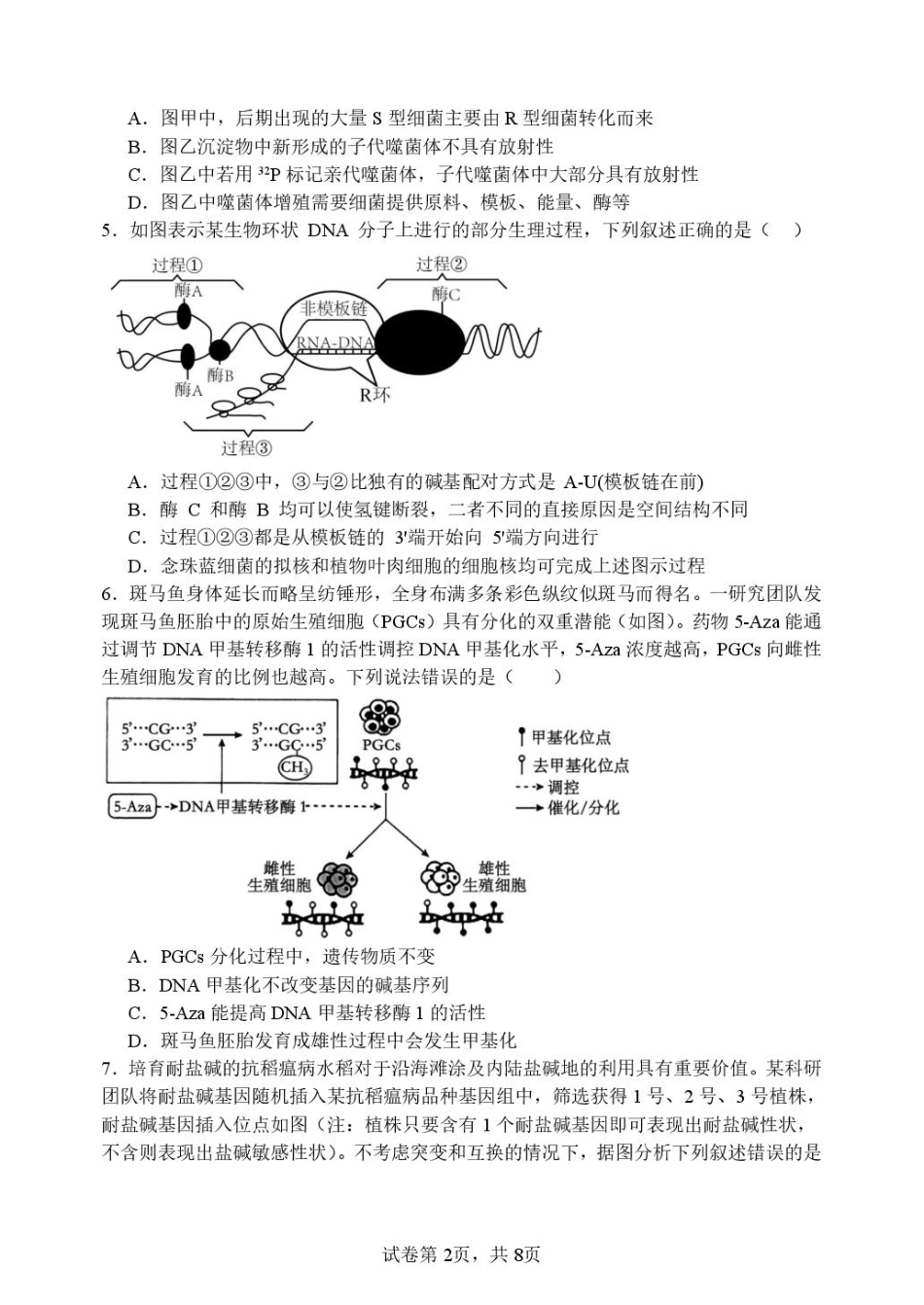 山东省潍坊第一中学2025-2026学年高二上学期开学考试生物试题.pdf_第2页