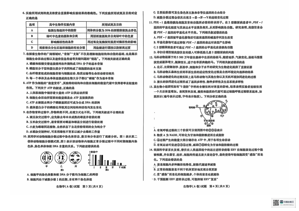 山西省天一大联考2024-2025学年2025届高三年级第一学期11月学情调研测试暨期中考试(11.18-11.19)生物试卷.pdf_第2页
