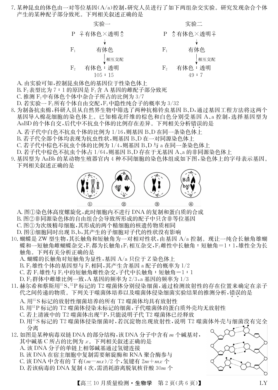 陕晋青宁九师联盟2025届高三10月质量检测(10.24-10.25)生物试卷-10月质量检测(LY).pdf_第2页
