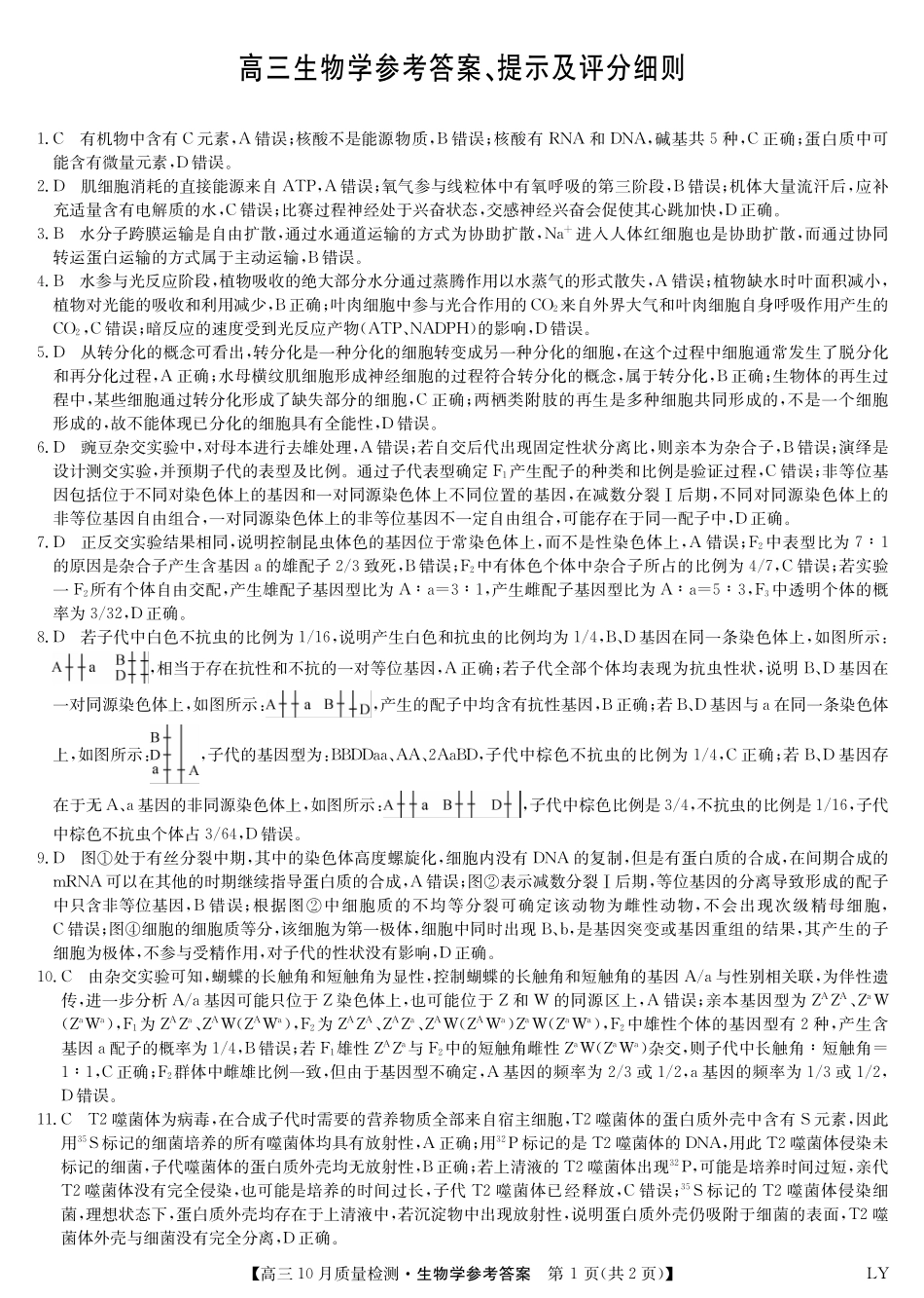 陕晋青宁九师联盟2025届高三10月质量检测(10.24-10.25)生物试卷答案-10月质量检测(LY).pdf_第1页