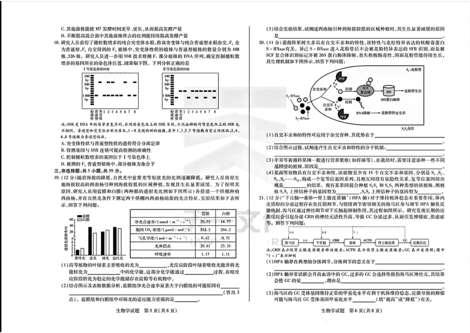 陕西河南两省天一大联考(小高考)2024-2025学年(上)高三第一次考试(8.20-8.21)生物试卷(高清版).pdf_第3页