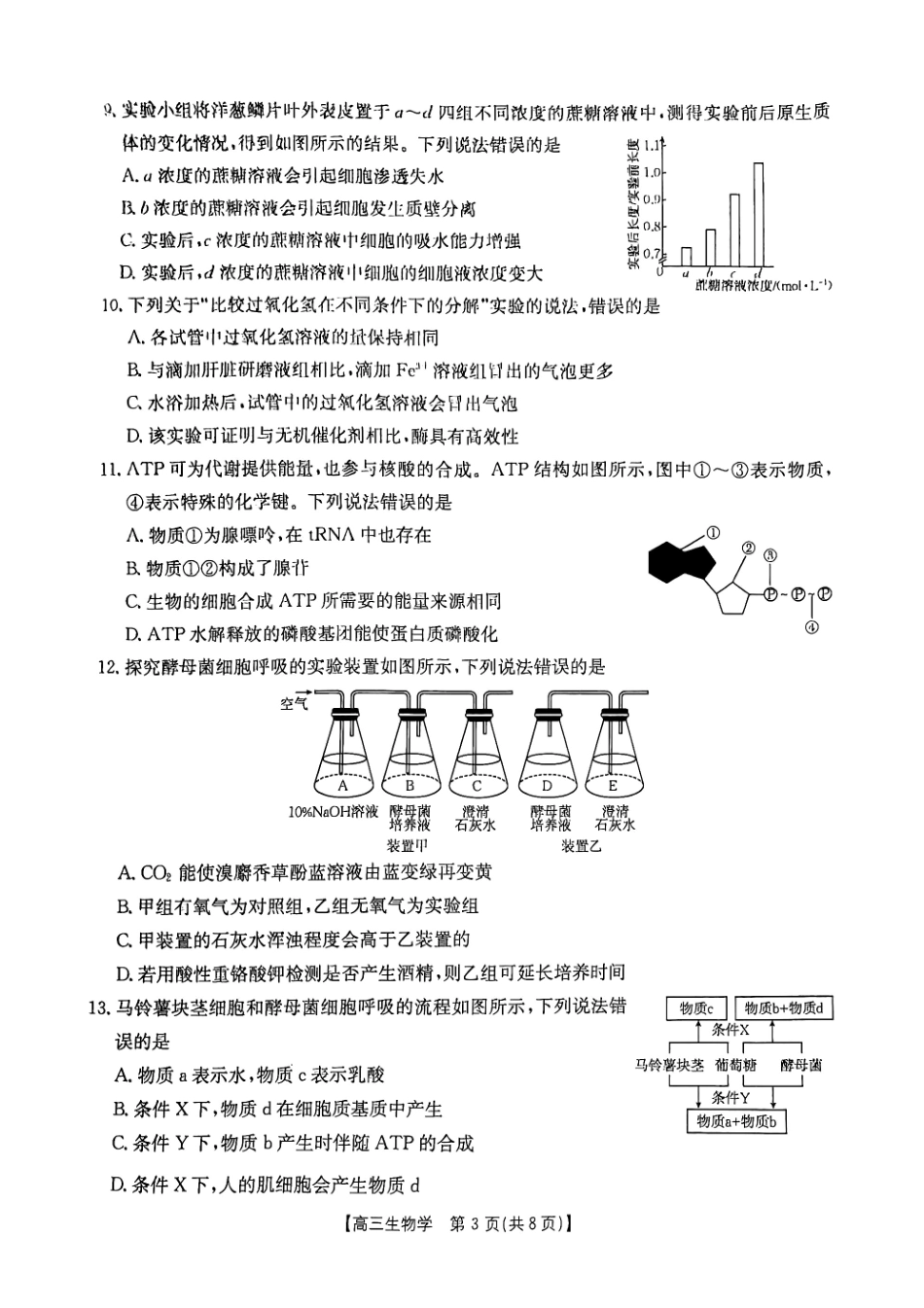 陕西省2025届高三金太阳9月联考(金太阳25-37C)(9.21-9.22)生物试卷.pdf_第3页