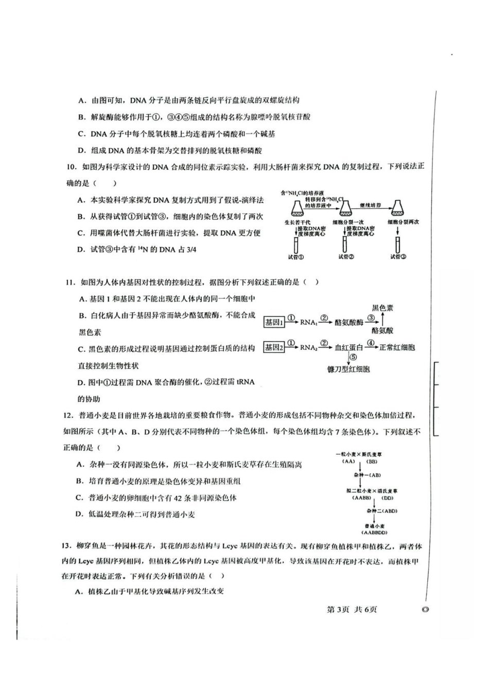 陕西省汉中市十校联考2025-2026学年高二上学期开学测试生物试卷.pdf_第3页