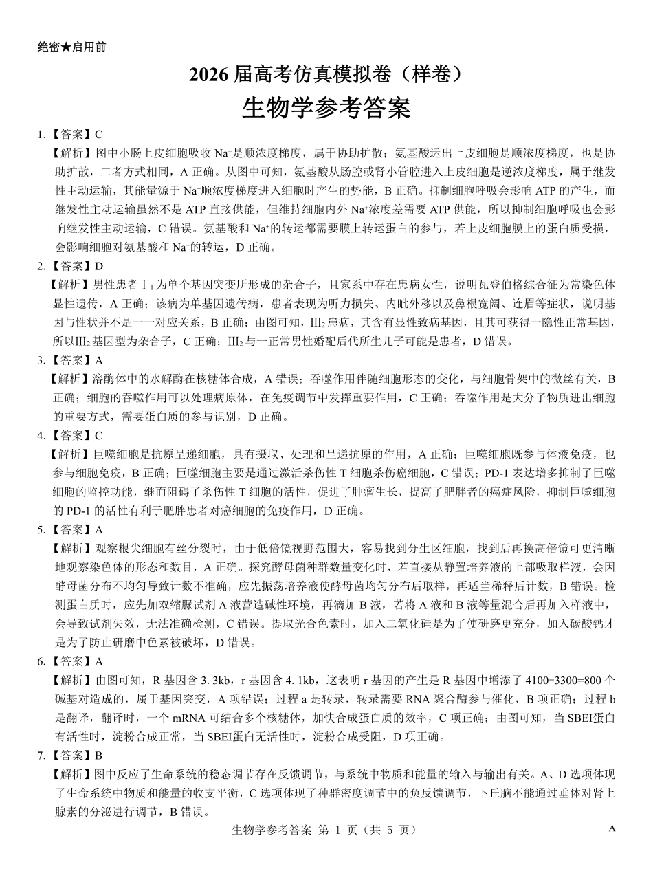 生物仿真模拟卷(样卷)参考答案【多考区卷】名校教研联盟2026届高考仿真模拟卷(样卷)(10.23-10.24).pdf_第1页