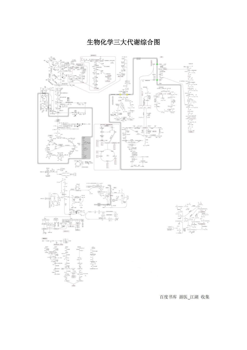 生物化学三大代谢综合图.pdf_第1页
