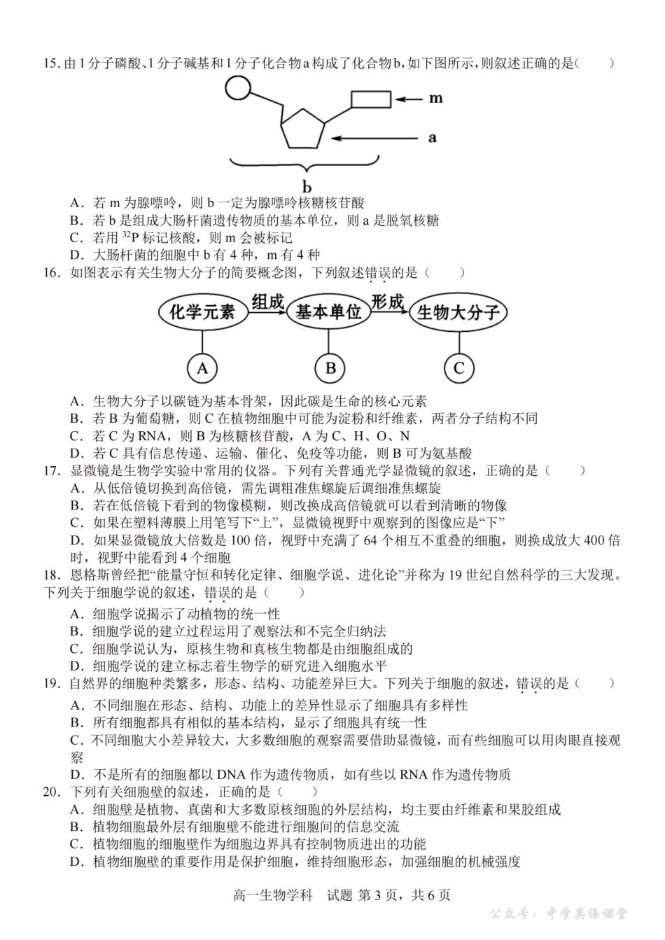 生物卷-2510高一精诚联盟.pdf_第3页