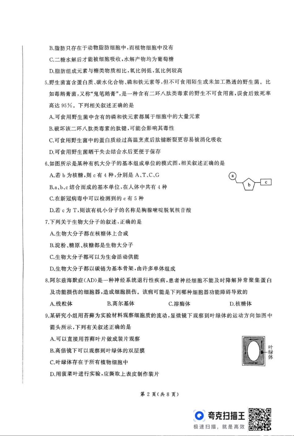 生物-山东省百师联考2024-2025学年高一上学期期中考试.pdf_第2页