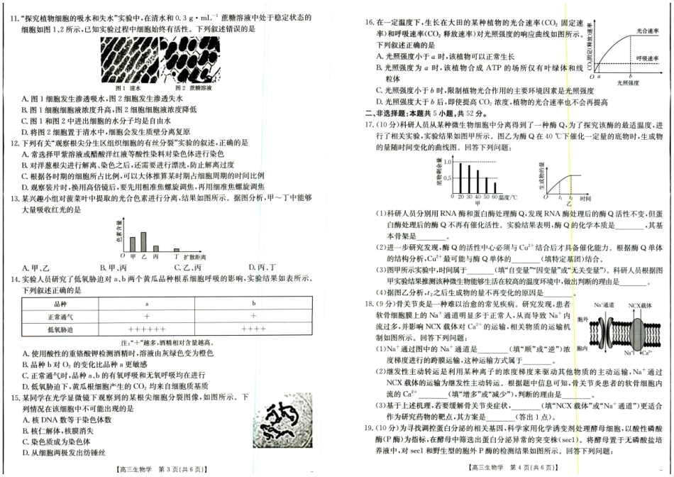 生物试卷(26-33C)山西省、陕西省金太阳2026届高三年级上学期9月联考考试(26-33C)(9.28-9.29).pdf_第2页