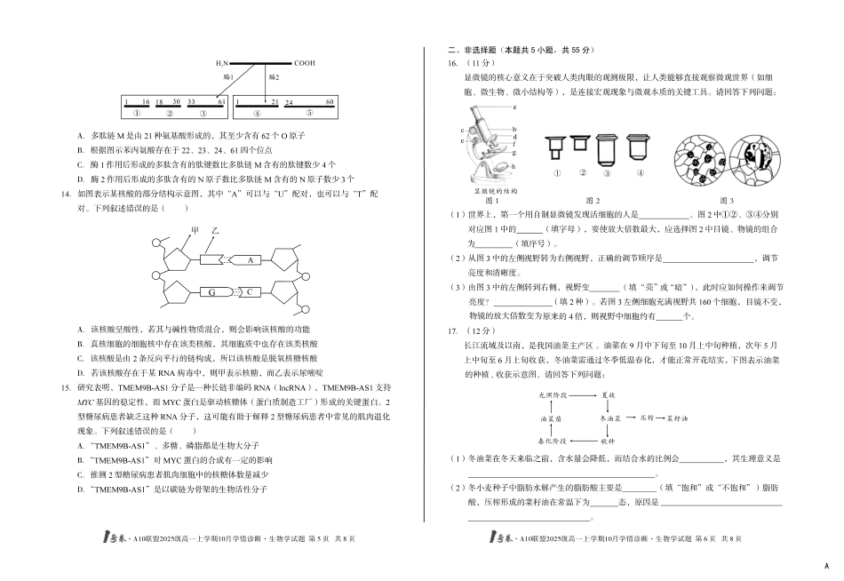 生物试卷(A卷)【高一】安徽省1号卷A10联盟2025级(2028届)学年高一上学期10月学情诊断（10.16-10.17）.pdf_第3页