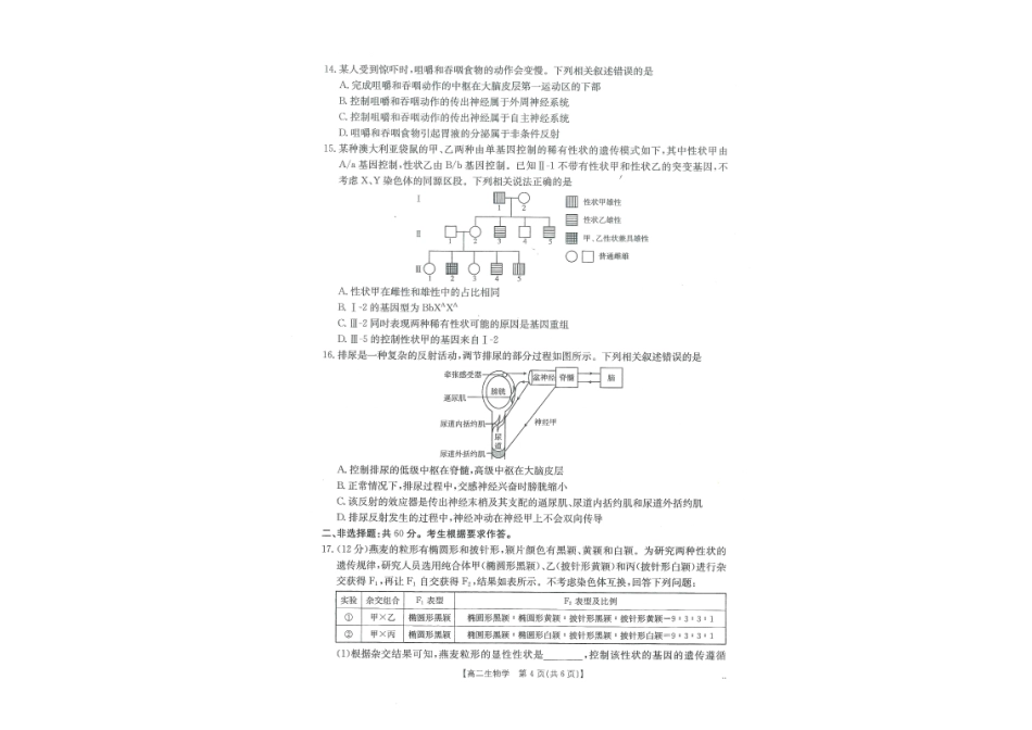 生物试卷（金太阳26-18B）广西壮族自治区金太阳部分学校2025年秋季高二年级开学考试(26-18B)（8.28-8.29）.pdf_第3页