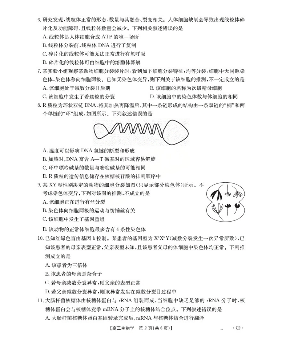 生物试卷(下标C2)+答案广东省金太阳部分学校2026届高三上学期10月联考(26-27C)(0.15-10.16).pdf_第2页