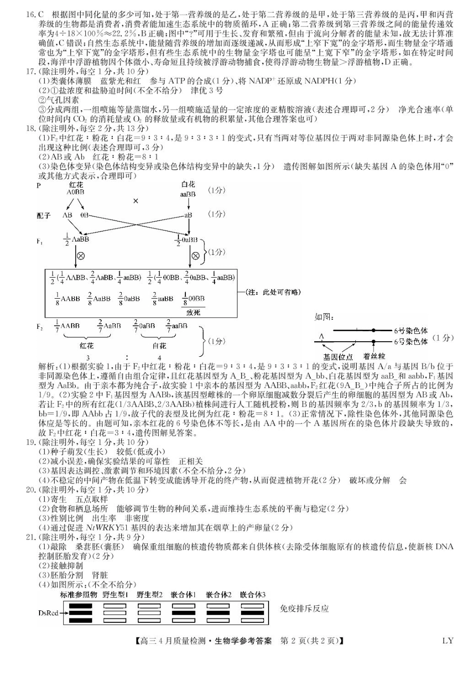 生物试卷(下标LY)答案【多考区卷】【九师卷】九师联盟2025届高三4月27质量监测(4.27-4.28).pdf_第2页