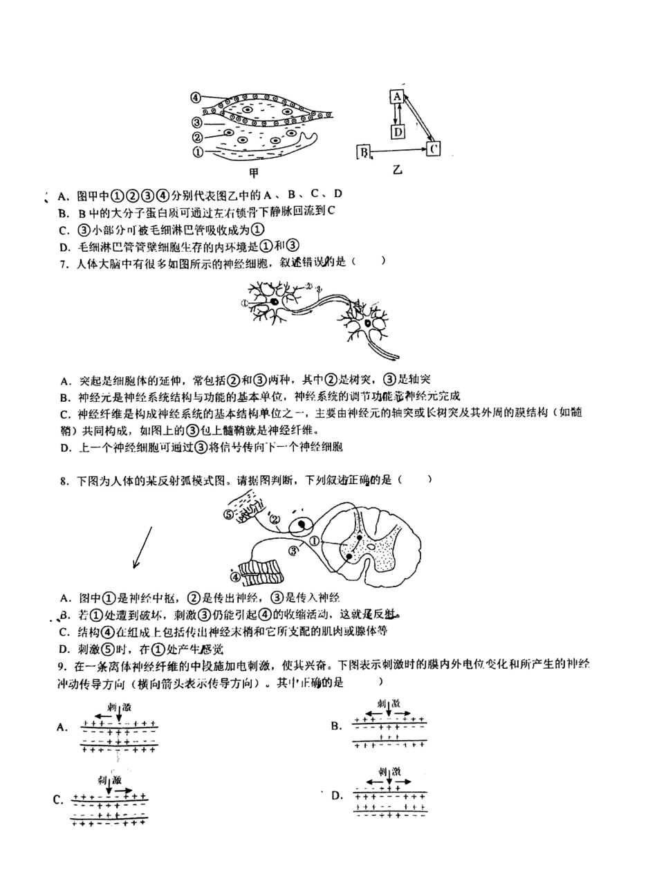 生物试卷【高二】广西壮族自治区来宾市兴宾区来宾高级中学2025-2026学年高二上学期开学考试(9.2-9.3).pdf_第2页