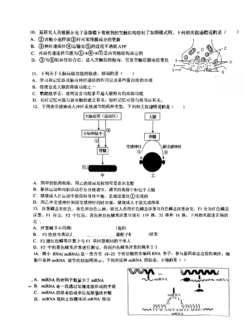 生物试卷【高二】广西壮族自治区来宾市兴宾区来宾高级中学2025-2026学年高二上学期开学考试(9.2-9.3).pdf_第3页