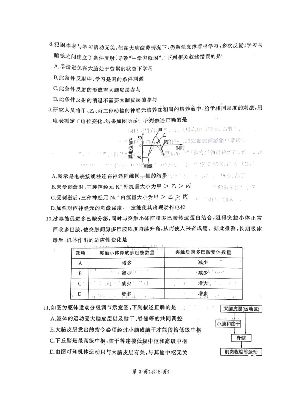 生物试卷【河南卷【高二】】河南省百师联盟2025-2026学年度高二9月联考(9.25-9.26).pdf_第3页