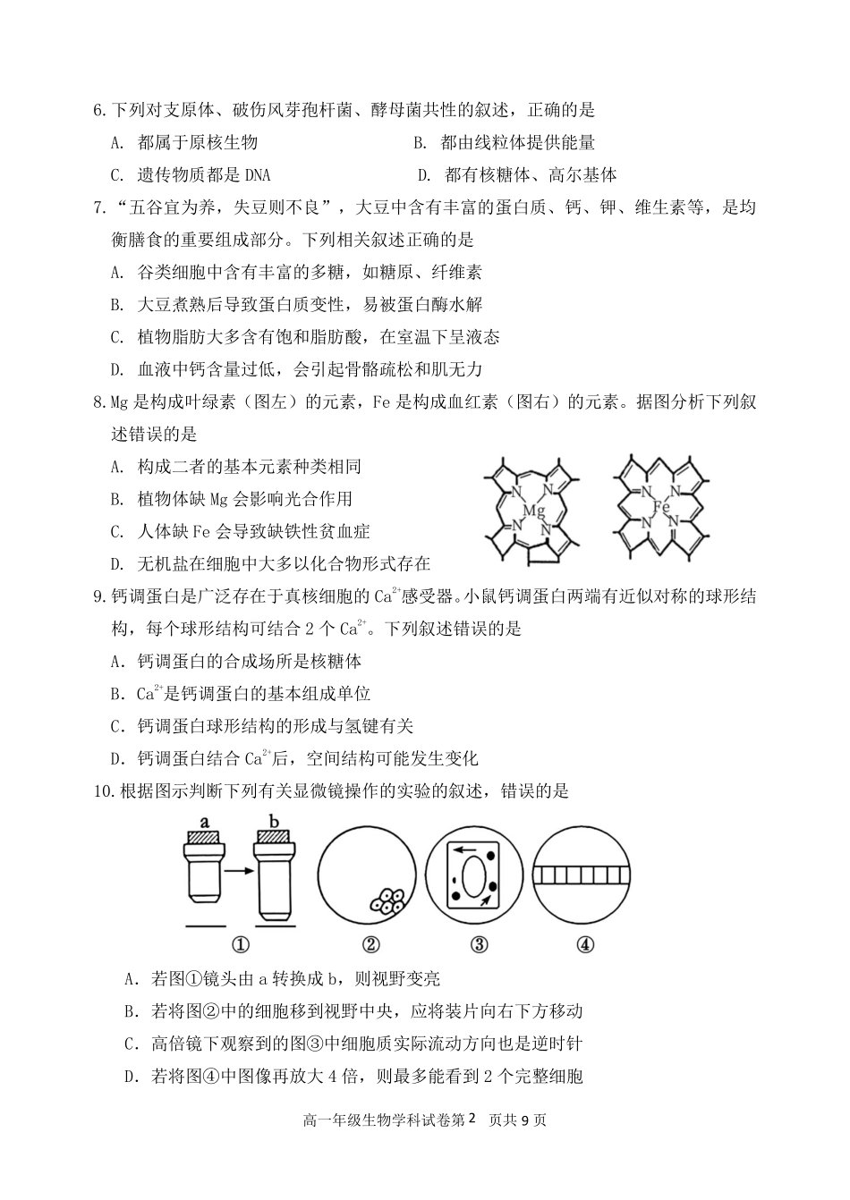 生物试卷【黑吉辽蒙卷】【高一】辽宁省沈阳市东北育才高中2025-2026学年高一上学期第一次(10月)月考(10.13-10.14).pdf_第2页