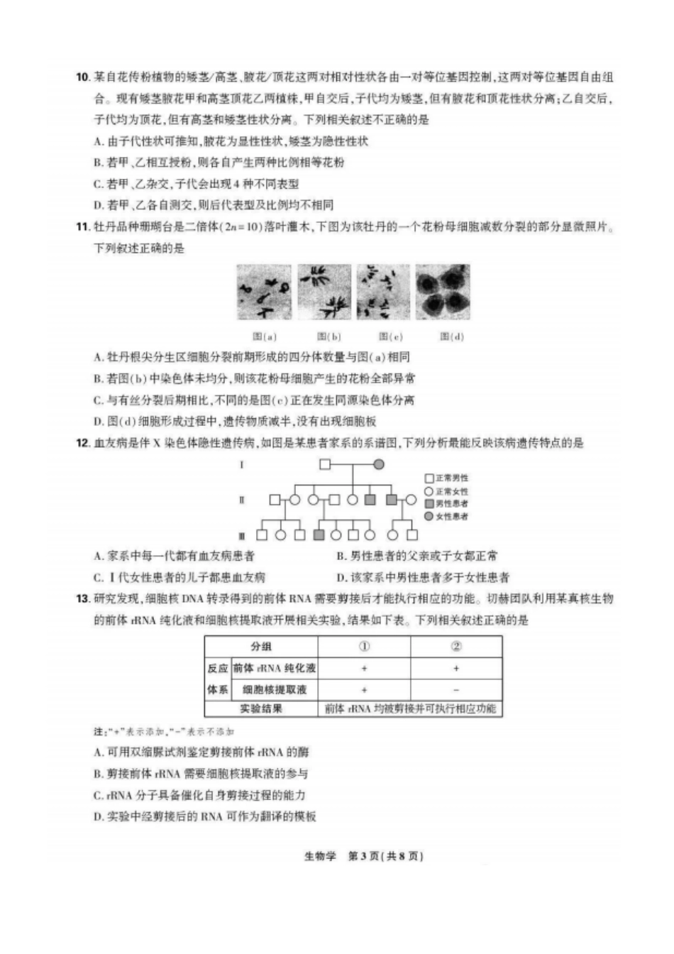 生物试卷【黑吉辽蒙卷】东北三省精准教学联盟2026届高三10月联考强化卷(10.10-10.11).pdf_第3页