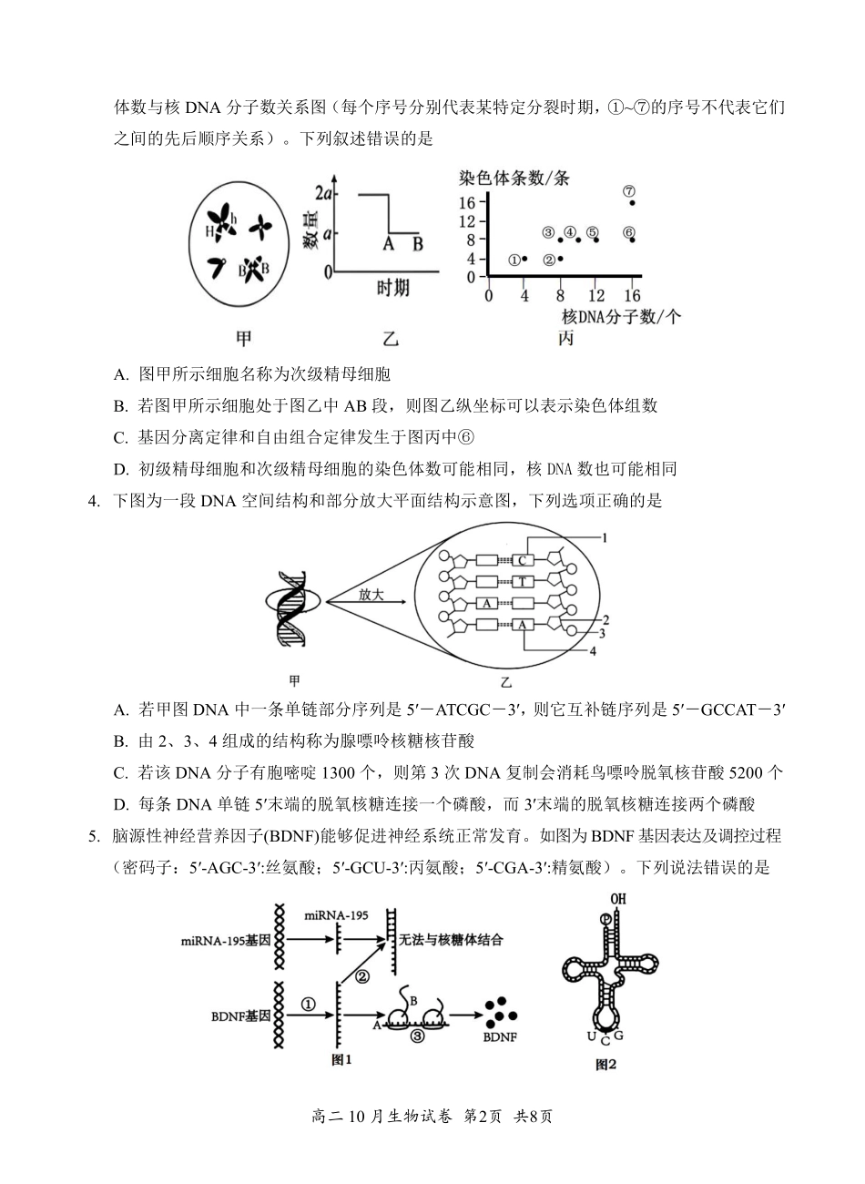 生物试卷10.10【高二】湖北省云学联盟2027届高二年级上学期10月考试.pdf_第2页