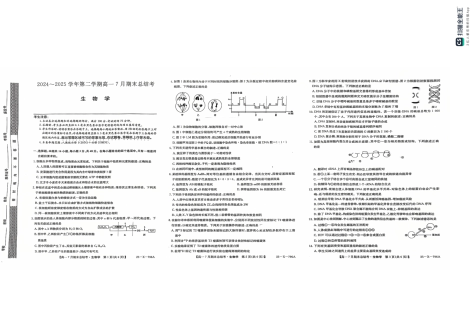 生物试卷2024~2025学年第二学期高一7月期末总结考(25-X-796A)(7.2-7.3).pdf_第1页