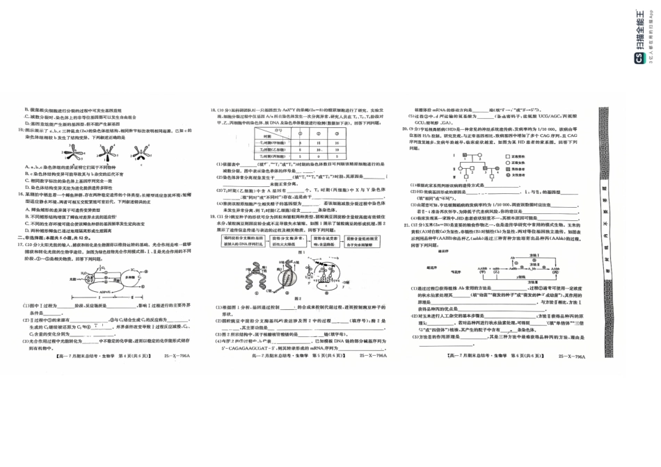 生物试卷2024~2025学年第二学期高一7月期末总结考(25-X-796A)(7.2-7.3).pdf_第2页
