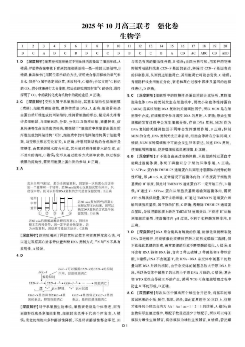 生物试卷答案【黑吉辽蒙卷】东北三省精准教学联盟2026届高三10月联考强化卷(10.10-10.11).pdf_第1页
