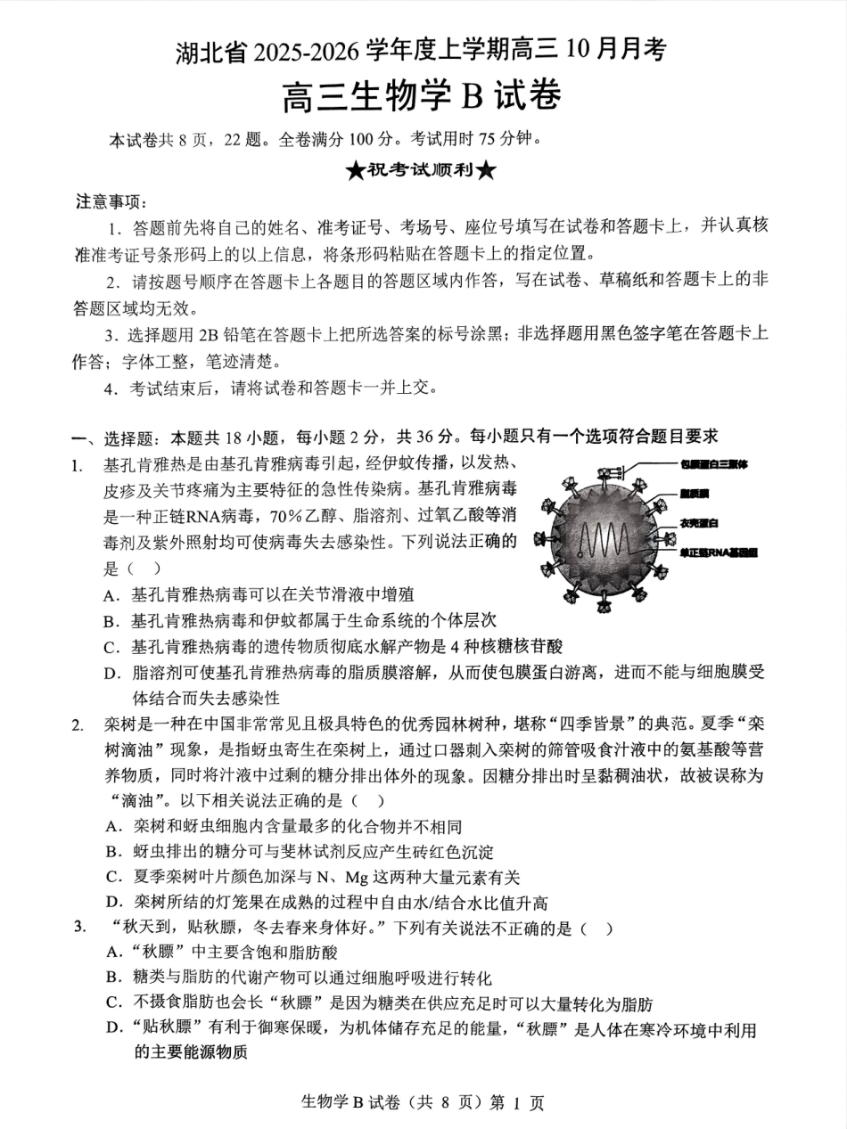 生物试卷湖北省新八校协作体2025-2026学年度上学期高三10月月考(10.9-10.10).pdf_第1页