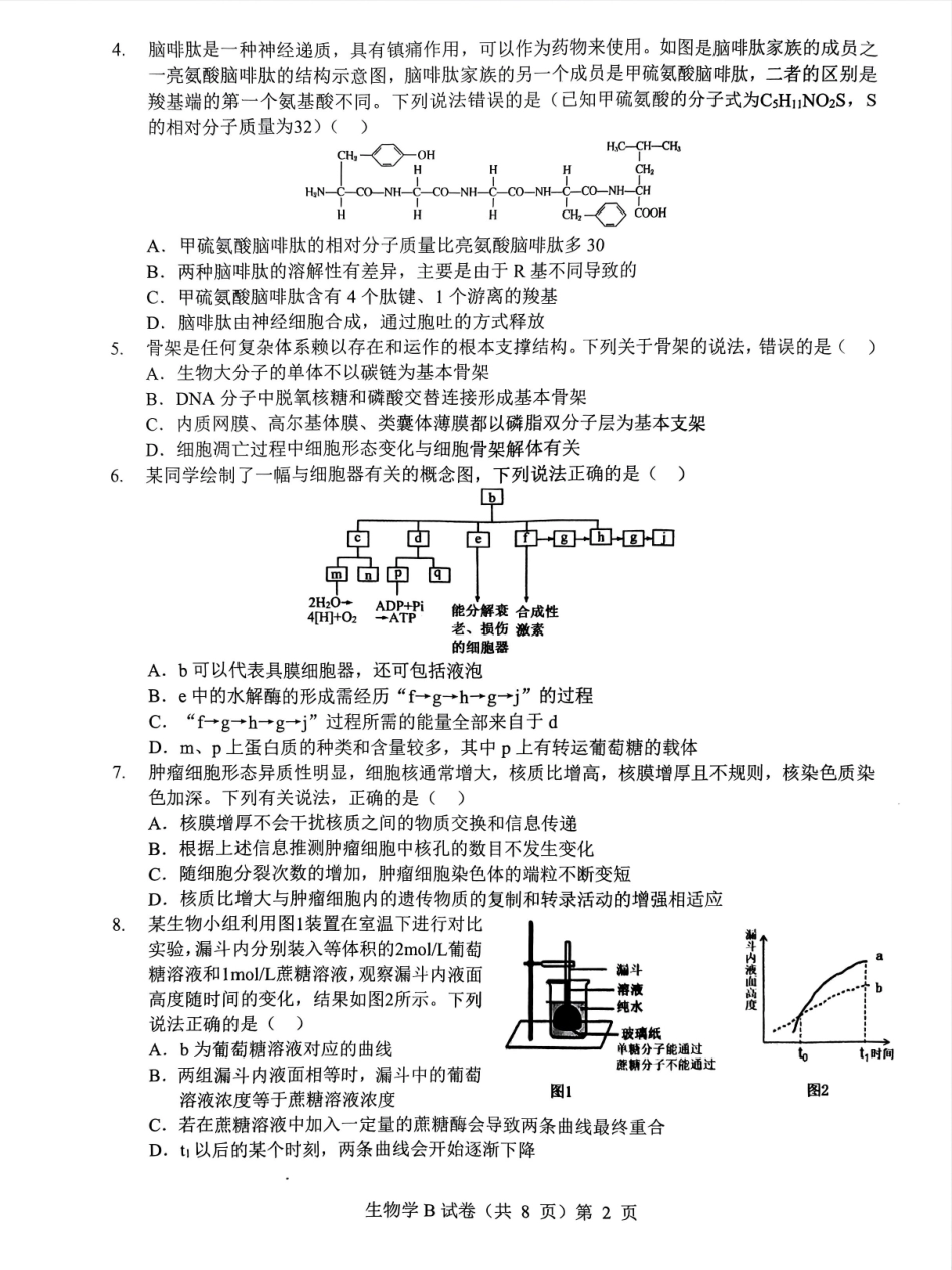生物试卷湖北省新八校协作体2025-2026学年度上学期高三10月月考(10.9-10.10).pdf_第2页