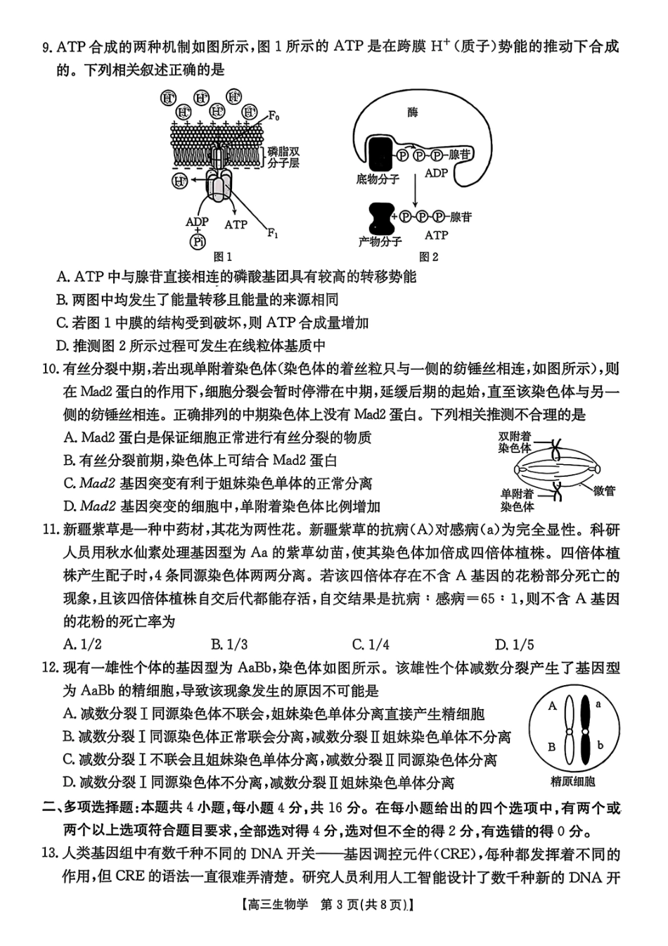 生物试卷江西金太阳2025年高三10月联考(10.23-10.24).pdf_第3页