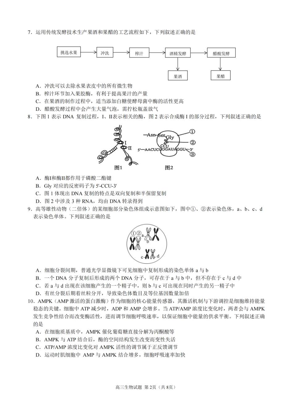 生物试卷浙江省2025学年第一学期江浙皖高中(县中)发展共同体高三年级10月联考(10.7-10.8).pdf_第2页