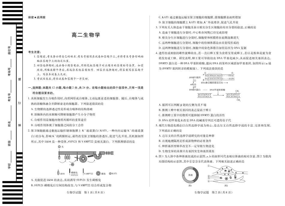 生物学高二十月考.pdf_第1页