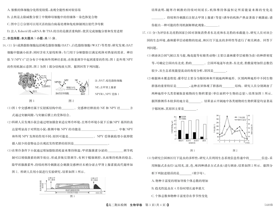 生物学试卷（5489B）安徽省县中联盟2024-2025学年第二学期高二年级期末检测（下标5439B）.pdf_第3页