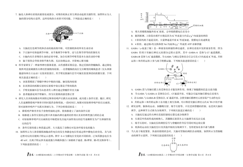生物学试卷(A)【高二】安徽省1号卷A10联盟2024级高二上学期10月学情诊断（10.14-10.15）.pdf_第2页