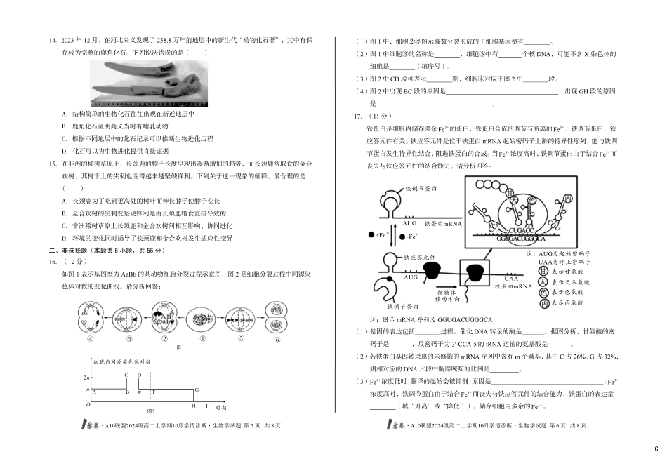 生物学试卷(C)【高二】安徽省1号卷A10联盟2024级高二上学期10月学情诊断（10.14-10.15）.pdf_第3页