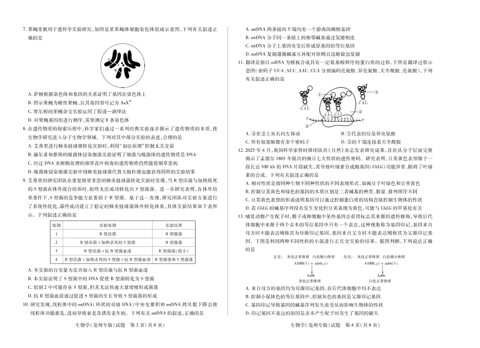 生物学试卷（亳州版）高一下7月期末试卷【高一下期末考】安徽省天一大联考2024-2025学年（下）高一年级期末考试（7.1-7.2）.pdf_第2页